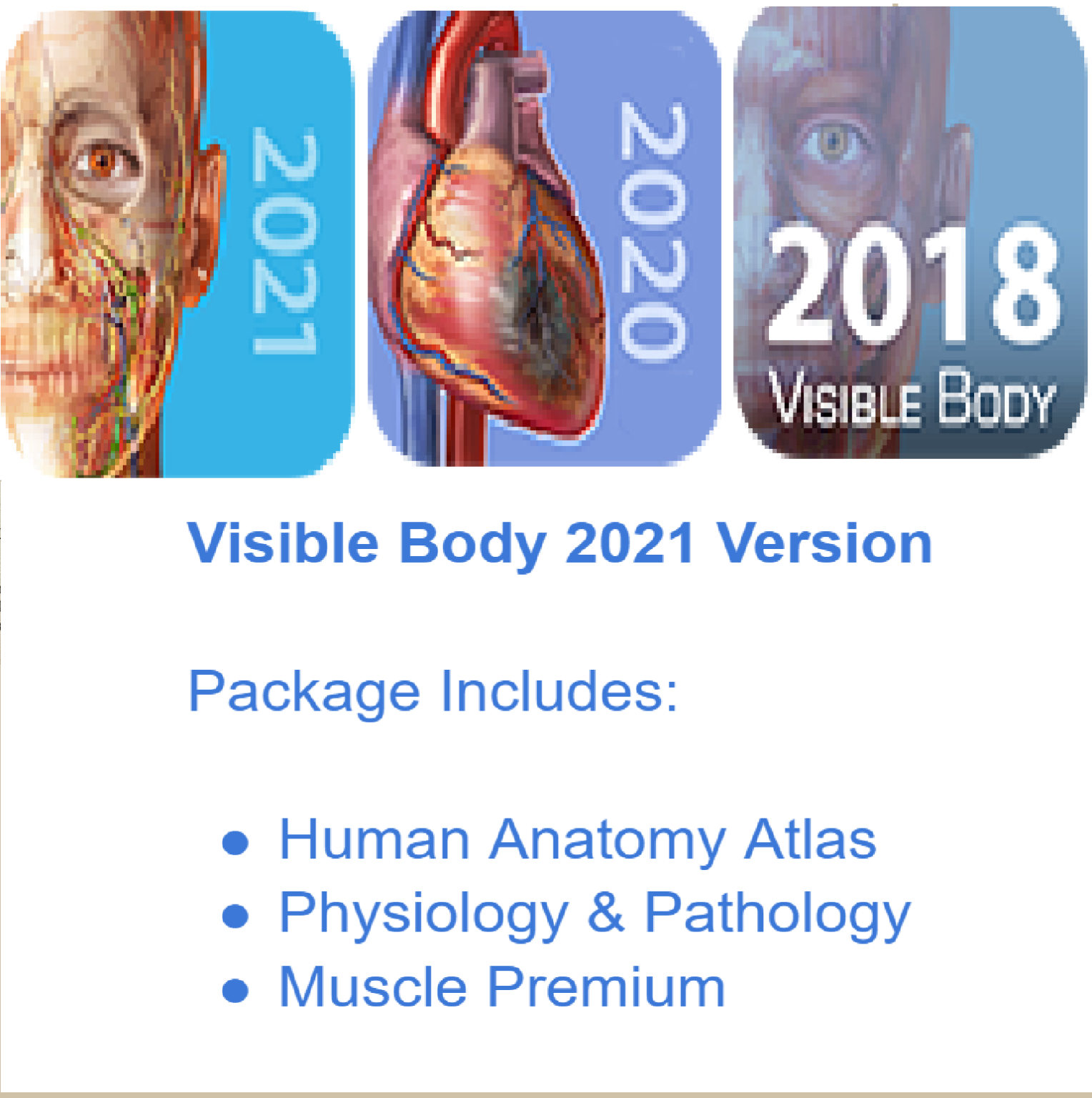 Visible Body 2021 Includes New e-resources – Russell Sage College Libraries